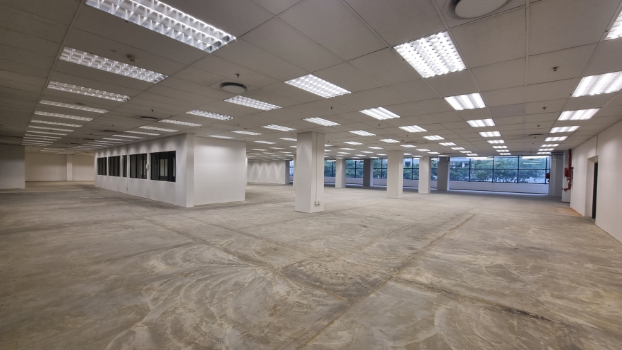 To Let Commercial Property for Rent in Cape Town City Centre Western Cape